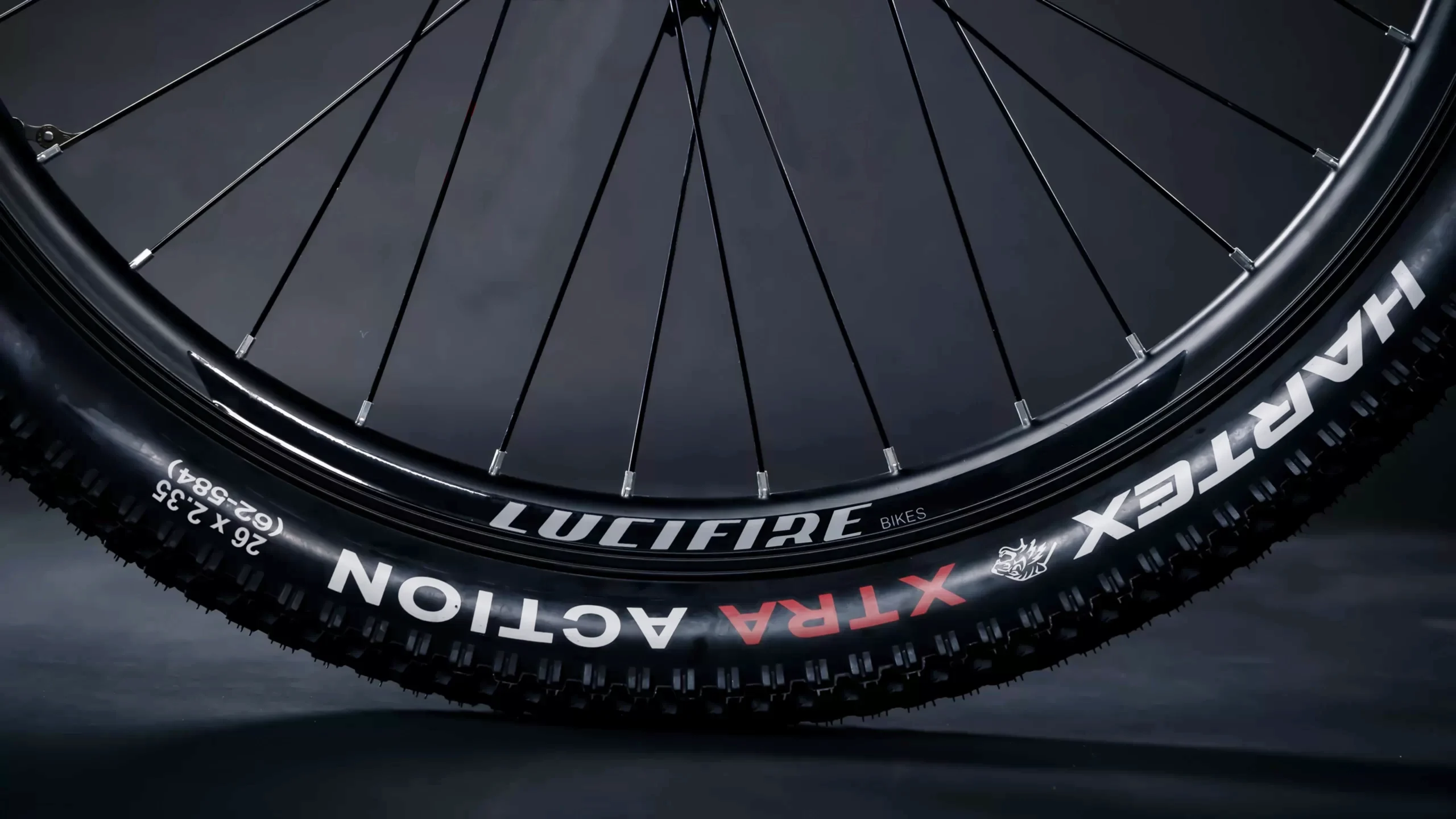 Elante E55 30 Elante E55 - Image 30