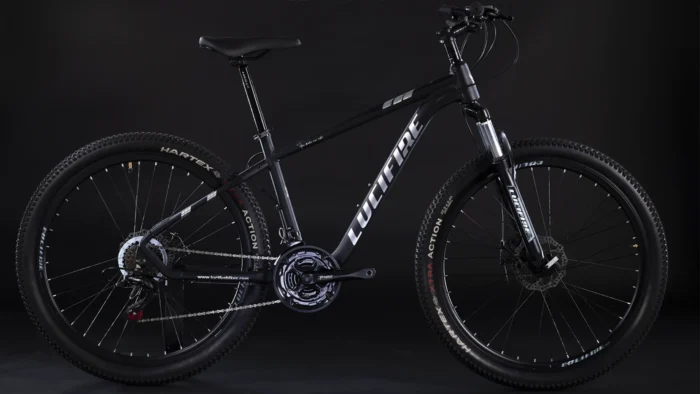 Dunamis D33 - Image 2