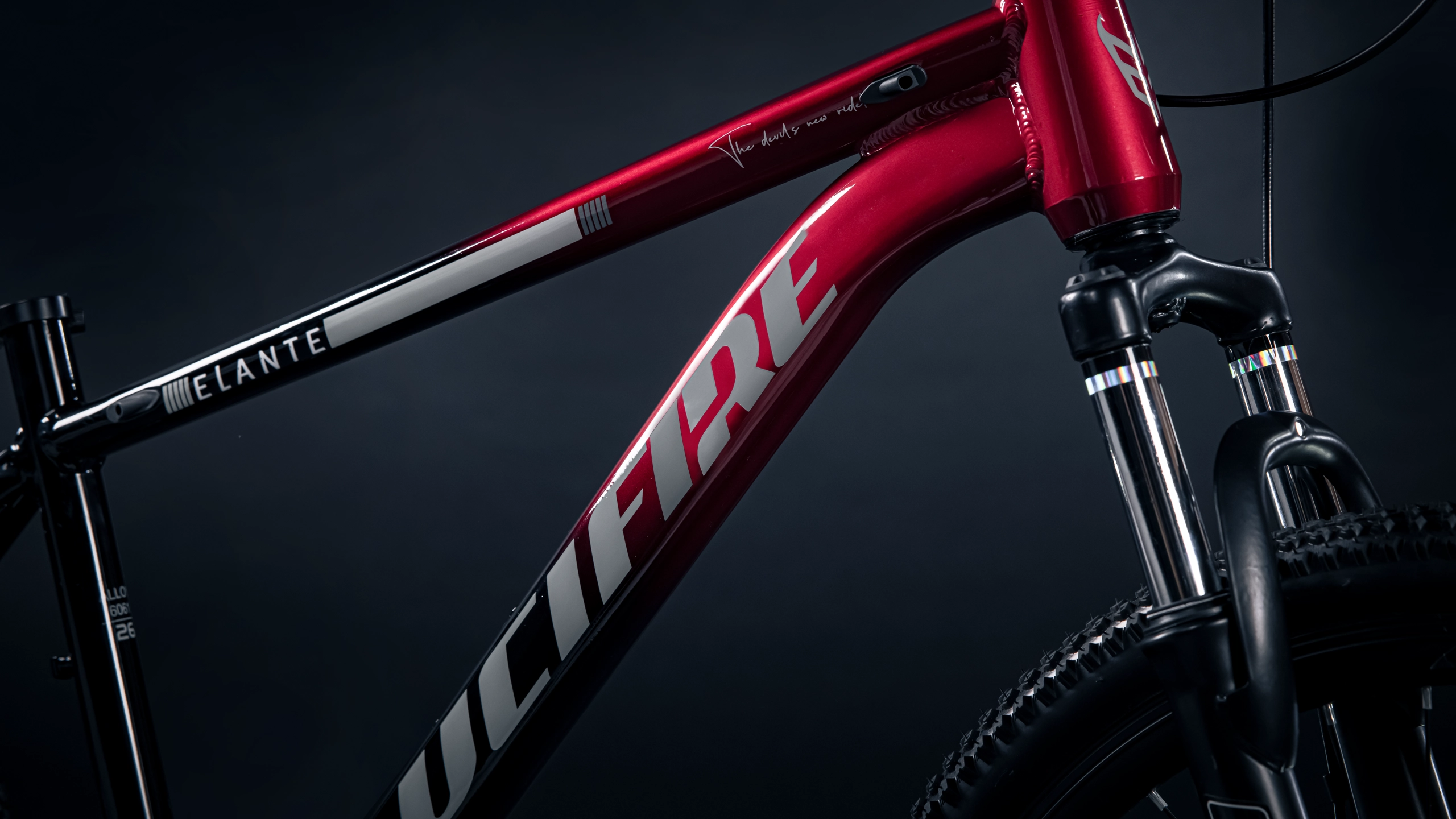 Elante E55 26 Elante E55 - Image 26