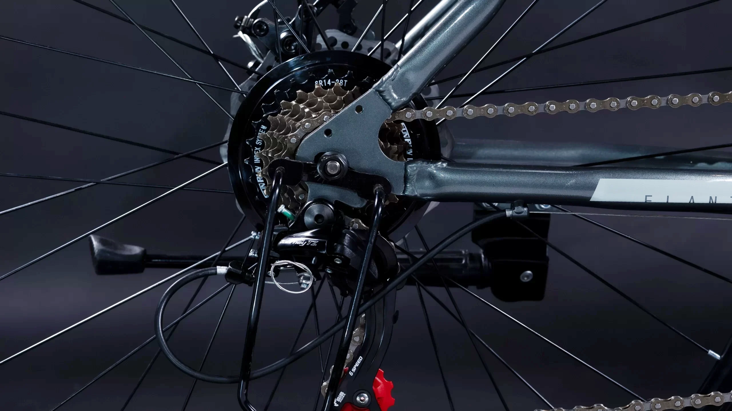 Elante E55 21 Elante E55 - Image 21