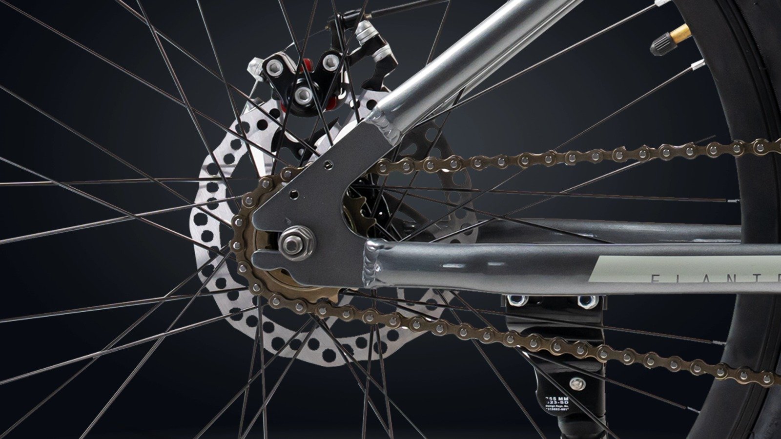 Elante E55 24 Elante E55 - Image 24