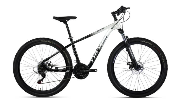 Dunamis D33 - Image 7