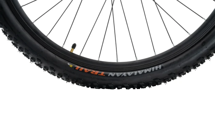 Rushtail - Image 6