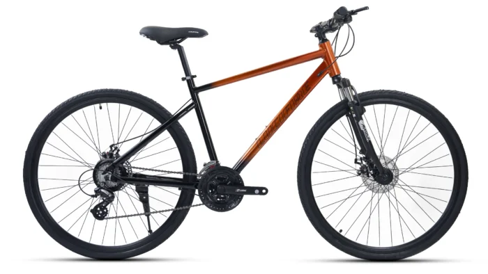 Roadgiant PRM